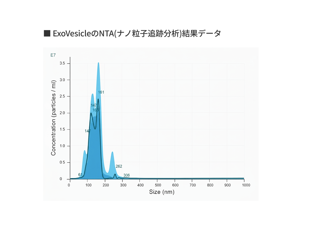 イメージ：均一なサイズ
