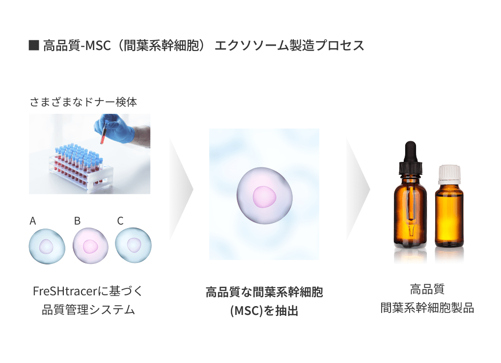 イメージ：世界初、リアルタイム細胞内グルタチオン測定技術​​