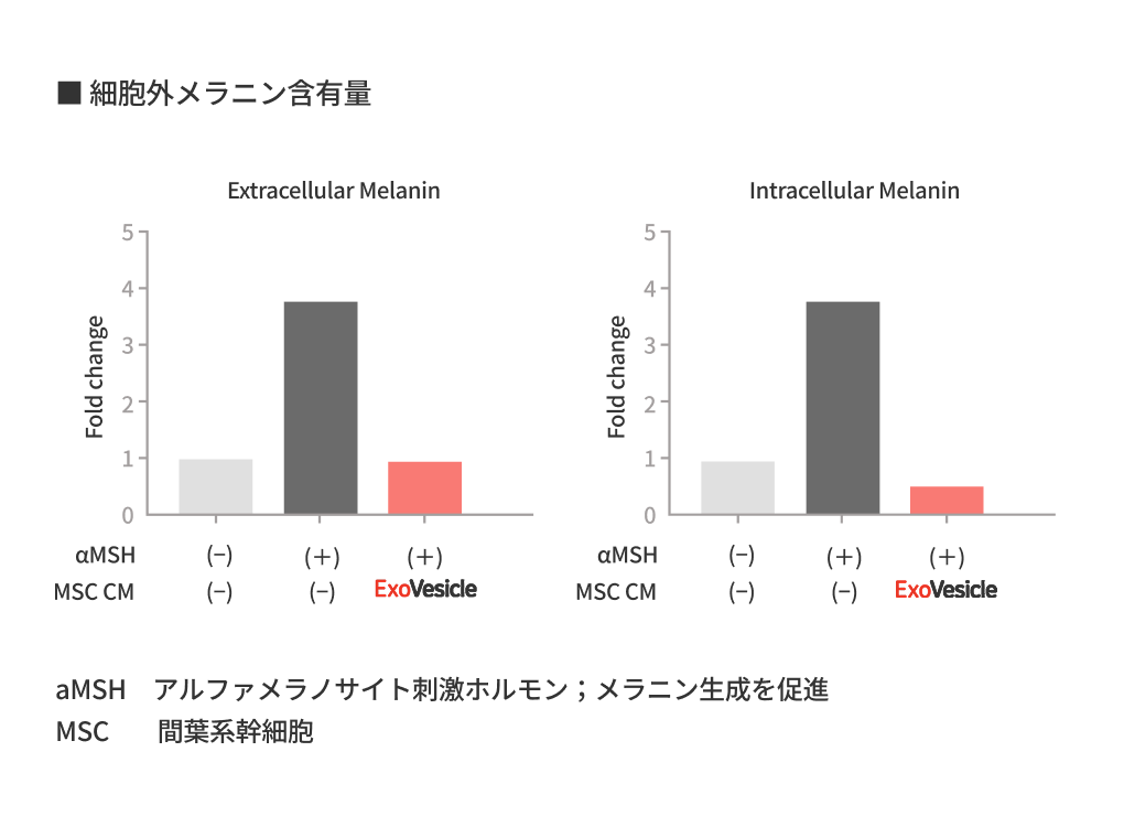 イメージ：細胞外メラニン含有量​​